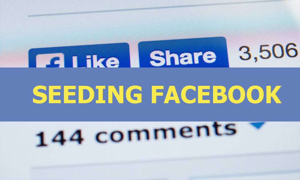 Các loại dịch vụ Seeding Fanpage Facebook của BuffSEO.